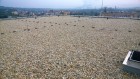 Západočeské divadlo Plzeň